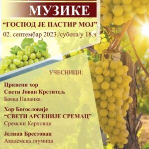 Илочка берба грожђа
