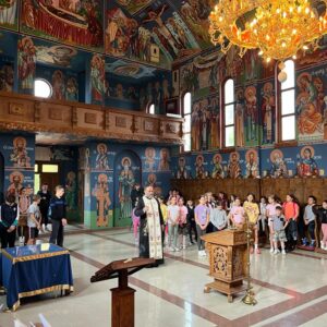 МАНИФЕСТАЦИЈА ,,ПОД ПОКРОВОМ ПРЕСВЕТЕ БОГОРОДИЦЕ“ У ШИДУ