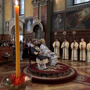 Митрополит Иларион Алфејев у Сремским Карловцима