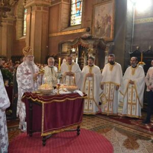 МИТРОВДАН У СРЕМСКОЈ МИТРОВИЦИ