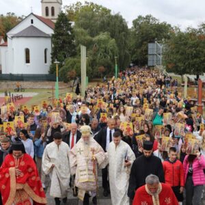 СВЕШКОЛСКИ САБОР У СРЕМСКОЈ МИТРОВИЦИ