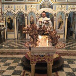 БОЖИЋ У ШИДСКИМ БАНОВЦИМА